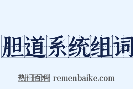 胆道系统组词是什么意思的图片